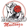 Maitland Mustangs(w)
