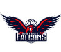 Newcastle Falcons(w)